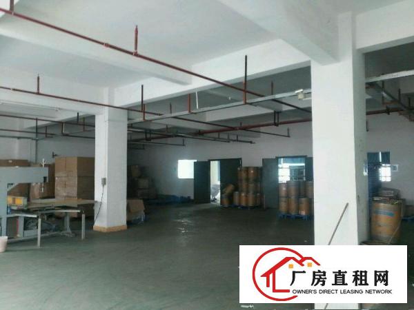
东环路厂房1100平米出租