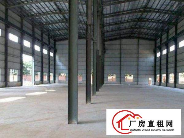 
常平金美独院单一层钢构厂房1300平有大面积空地