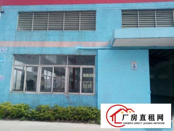 
常平桥沥工业园区分租850平米钢构厂房