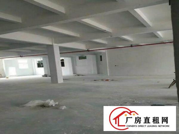 
常平天鹅湖1500平方一楼出租