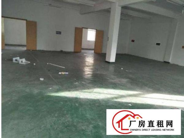 
原房东厂房新空二楼850平精装修办公室没有公摊