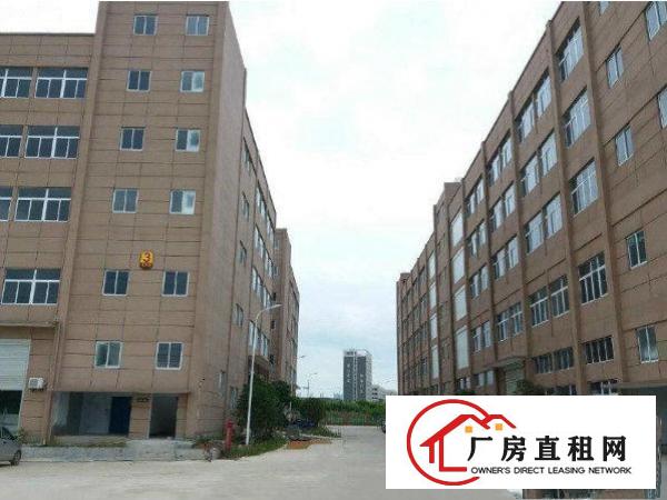 
常平袁山贝村有高端大气形象好的楼上厂房980平方