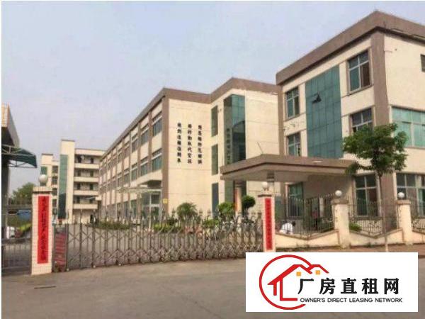 
常平黄泥塘原房东标准厂房一楼2000平火爆招租中