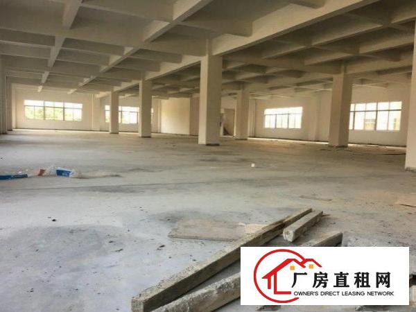 
常平朗洲独院标准厂房现有4700平米出租
