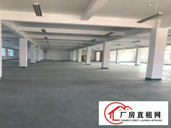 
常平九江水新出标准楼上厂房1900平招租，租金便宜