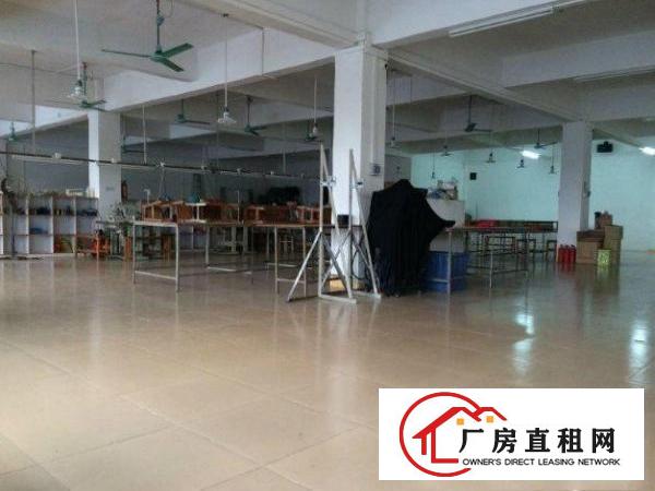 
常平还珠沥原房东标准厂房楼上1100平出租无公摊