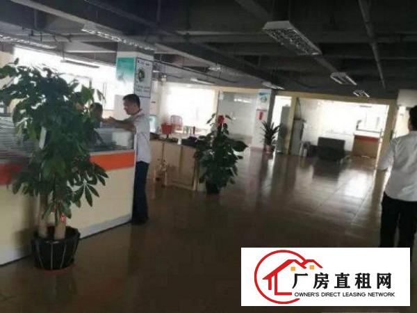
常平桥沥独门独院3600平空地大形象好