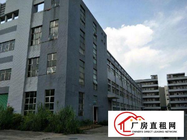 
常平桥梓村标准厂房一楼4200平出租水电齐全空地大交通方便