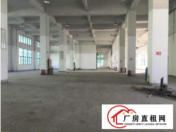 
常平桥梓村标准厂房一楼3500平水电齐全空地大交通方便