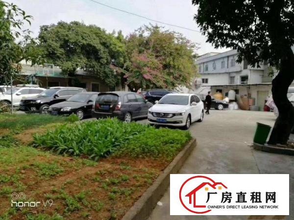 
袁山贝独院厂房出租可分租