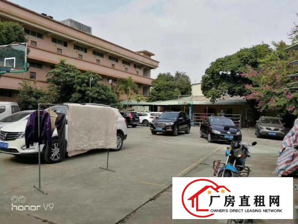 
袁山贝常朗路厂房700平米