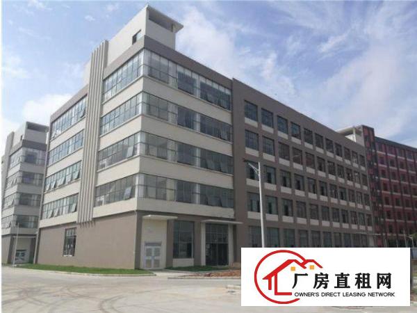 
常平松柏塘楼上标准厂房890平形象好
