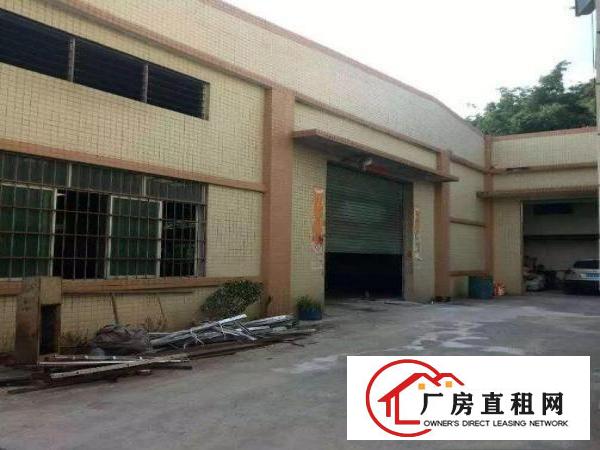 
常平桥沥厂房单一层1000平米办公现成