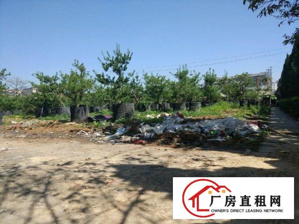 
原房东独院高速路口厂房32000平米