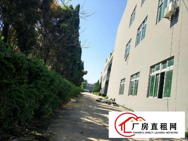 
原房东独院高速路口厂房32000平米