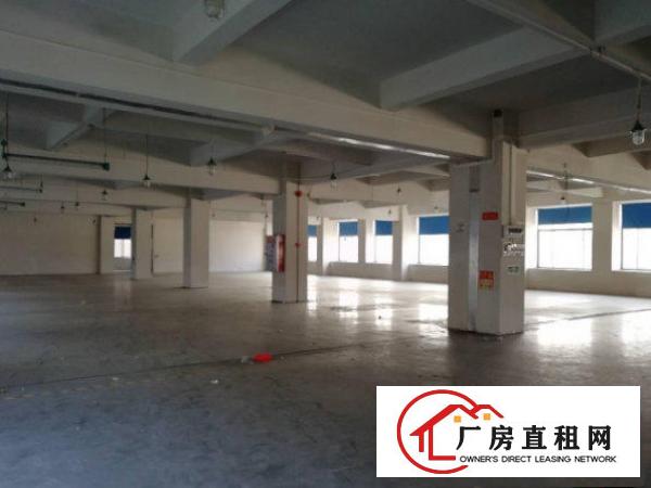 
常平白花沥原房东标准楼上厂房500方无公摊水电齐全