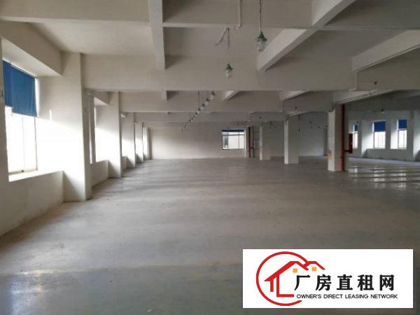 
常平白花沥原房东标准楼上厂房500方无公摊水电齐全
