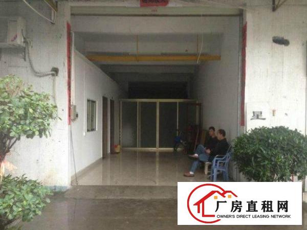 
常平司马新出一楼1500平米厂房招租