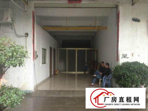 
常平司马新出一楼1500平米厂房招租