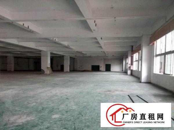 
常平司马新出一楼1500平米厂房招租