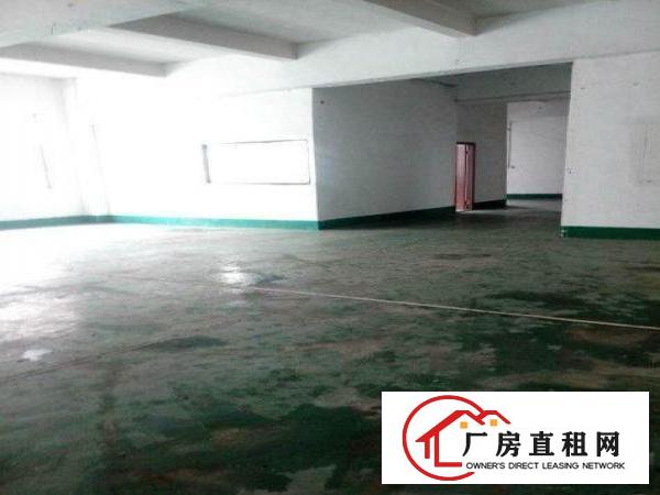 
常平朗洲新出楼上650平米标准厂房招租