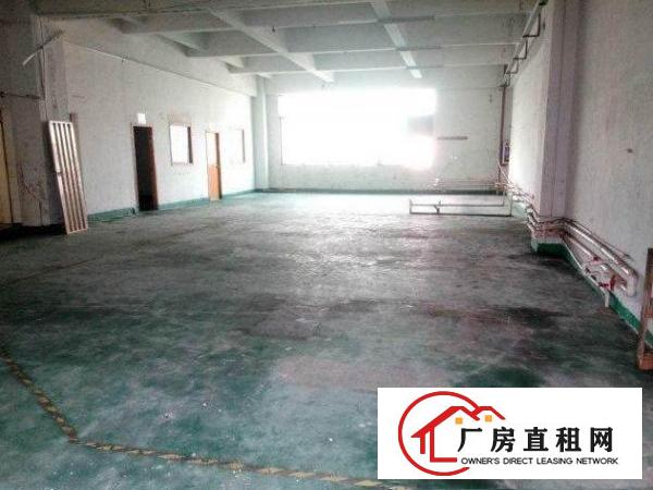 
常平朗洲新出楼上650平米标准厂房招租