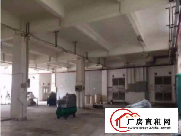 
常平桥梓村标准厂房一楼1830平高5.5米水电齐全空地大