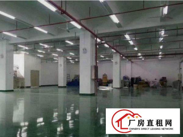 
常平还珠沥新出标准小独院3600平厂房招租