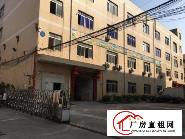 
常平九江水附近二楼1500平米厂房出租带电梯