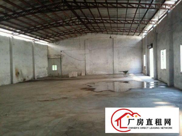 
桥沥村新出独院厂房2450平米