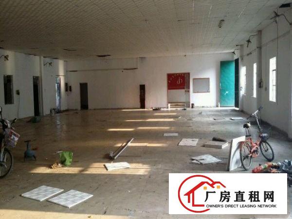 
桥沥村新出独院厂房2450平米
