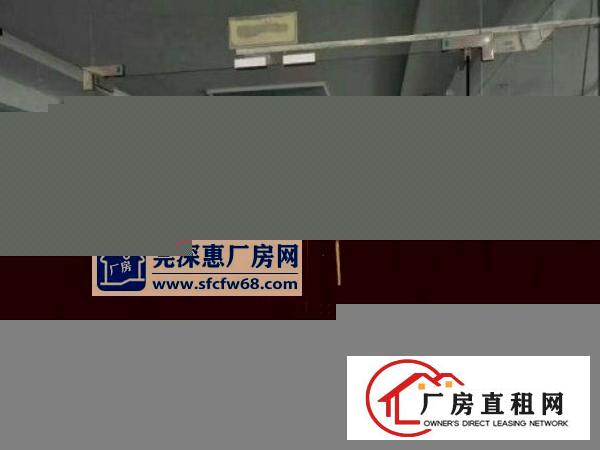
常平桥沥超靓独院厂房三楼1300平方带装修
