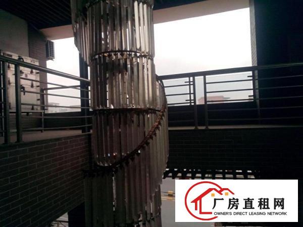 
白菜价！！！！！常平桥沥单一层钢构厂房800平米招租近大马路