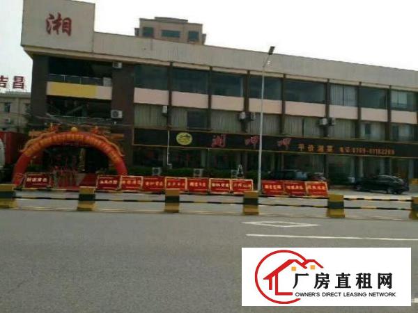 
白菜价！！！！！常平桥沥单一层钢构厂房800平米招租近大马路
