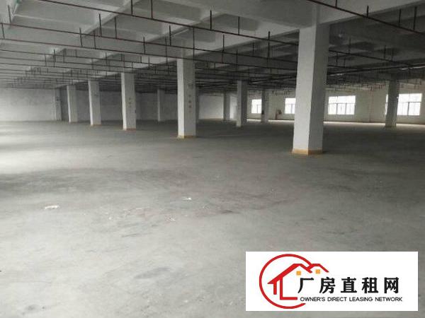 
常平白石岗工业区新出一楼1000平厂房出租