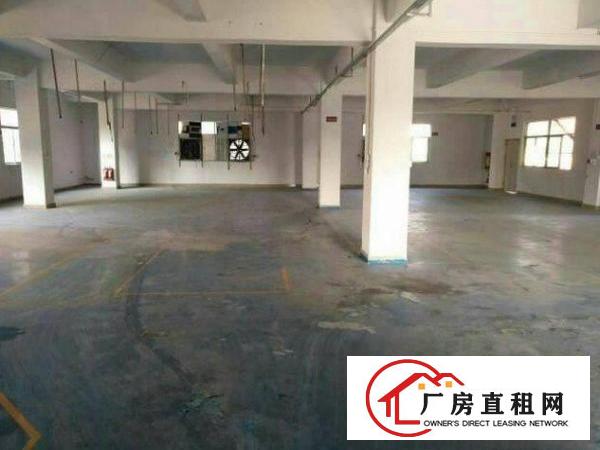 
常平元江元一楼2000平米招租,可分租