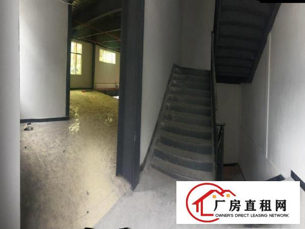 
常平全新厂房出租