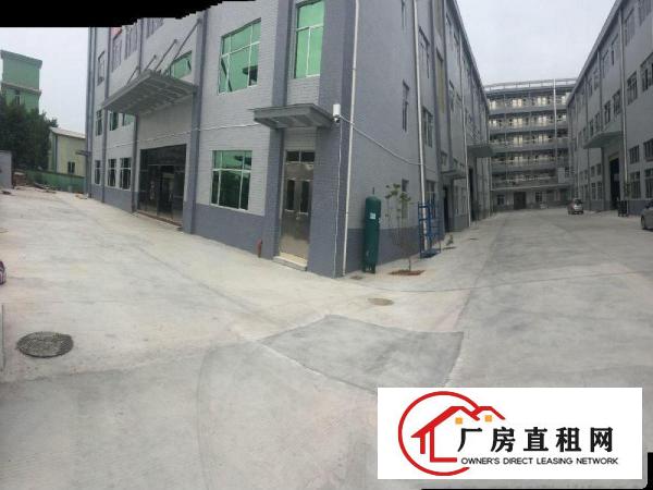 
常平全新厂房出租