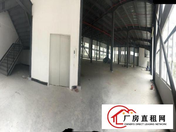 
常平全新厂房出租