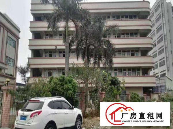
常平岗梓一楼厂房1000二楼1600平米可分租