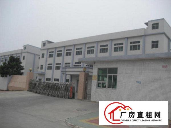 
常平塘角新出厂房总面积2980平方