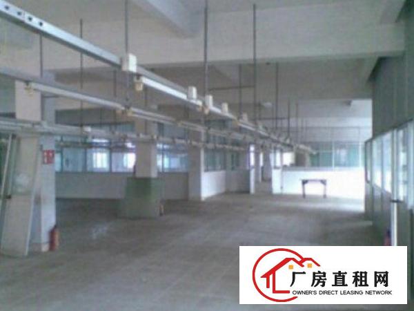 
常平塘角新出厂房总面积2980平方