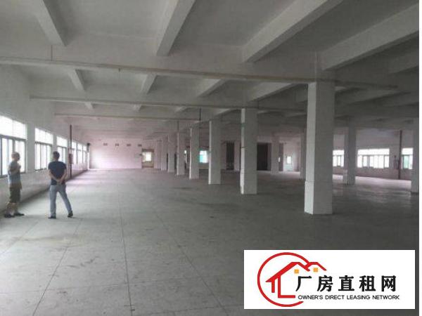 
常平苏坑村1450平米厂房出租