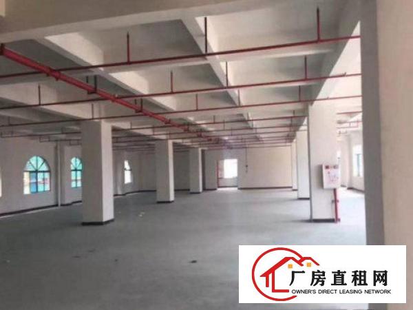 
常平袁山贝新标准厂房一楼1200平米原房东有消防