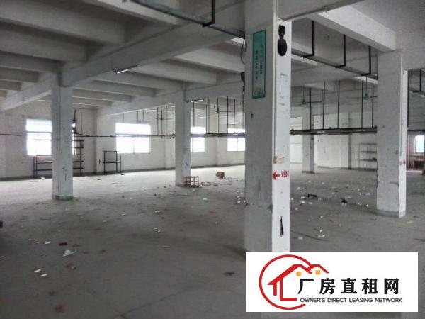 
横江厦上坑招租一楼500平方厂房或仓库租金10元