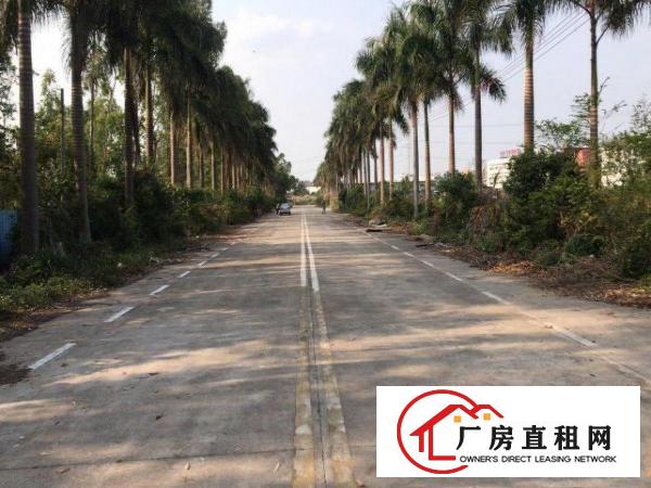 
常黄路东深路旁钢结构25000平米
