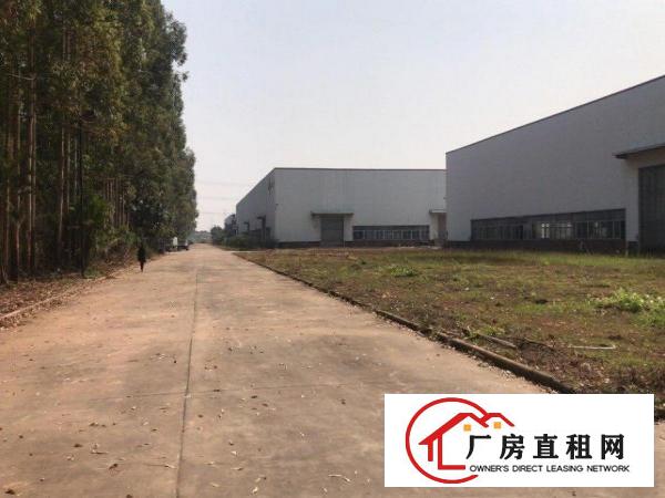 
常黄路东深路旁钢结构25000平米