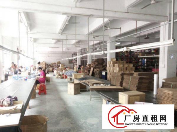 
常平陈屋贝厂房一楼1300平