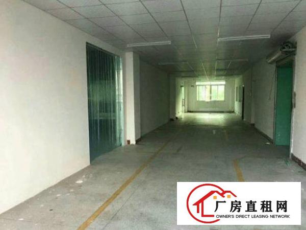 
常平九江水新空出厂房1450平米