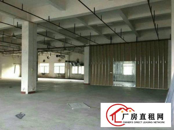 
常平九江水新空出厂房1450平米